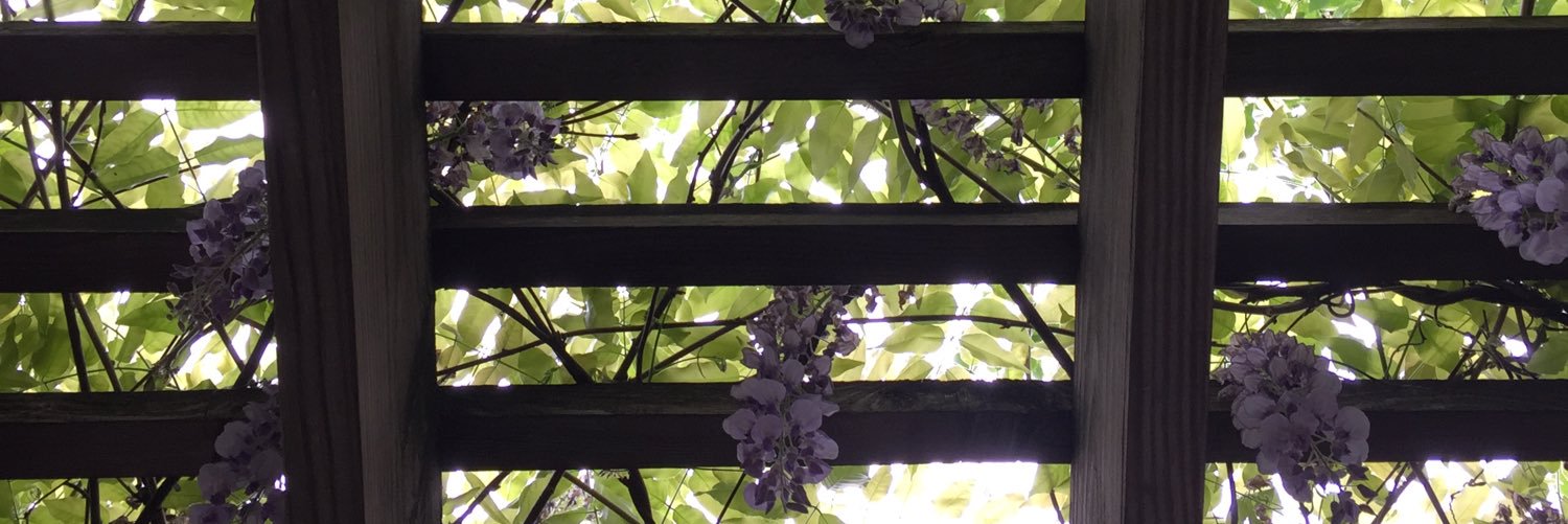LeahDeGregory's profile banner image