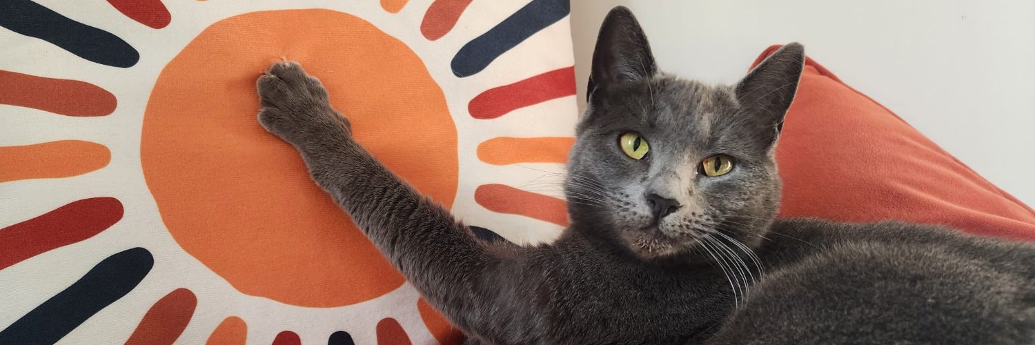 Alex BertoG in Cannes 🐮 banner