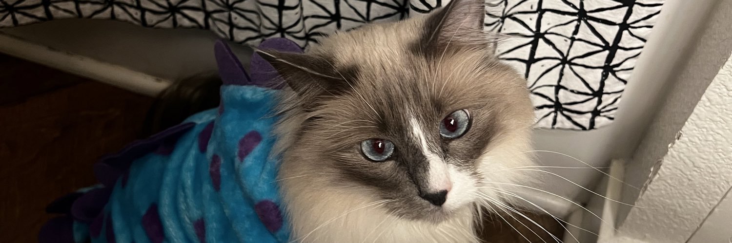 AnaaFoo's profile banner image