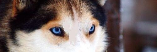 MarkCamp2's profile banner image