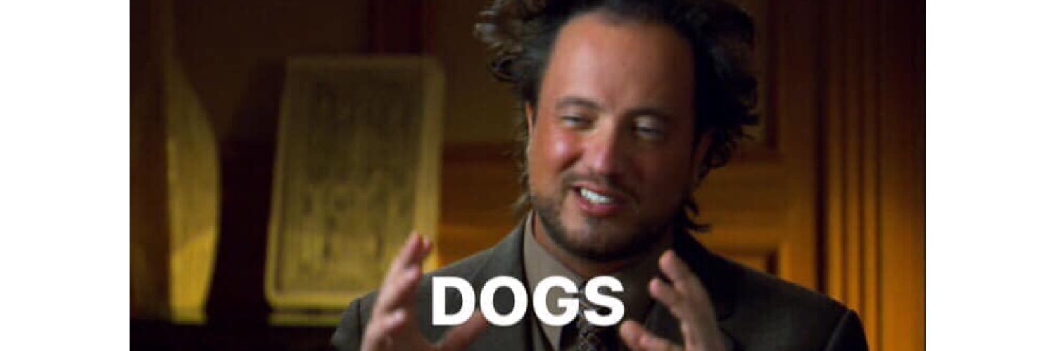 ambrzinski's profile banner image