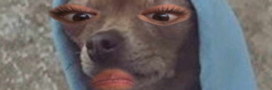 ariananavia's profile banner image
