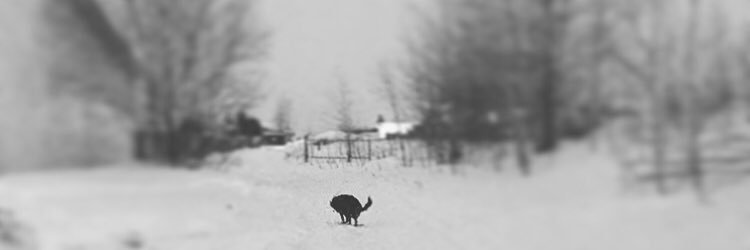 vaness_the_mess's profile banner image