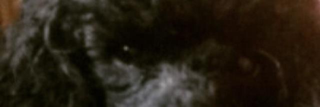 Cath_Parfitt's profile banner image