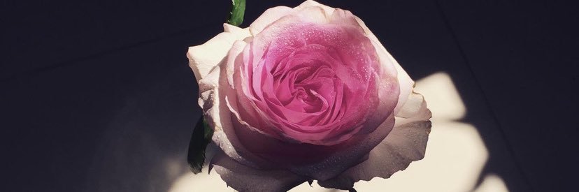 fatooom1416's profile banner image