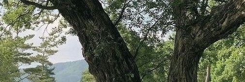 sabahsabag's profile banner image