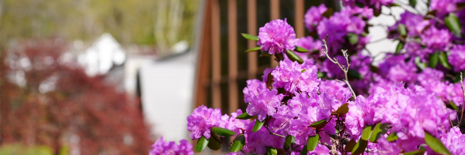 Assumption University banner