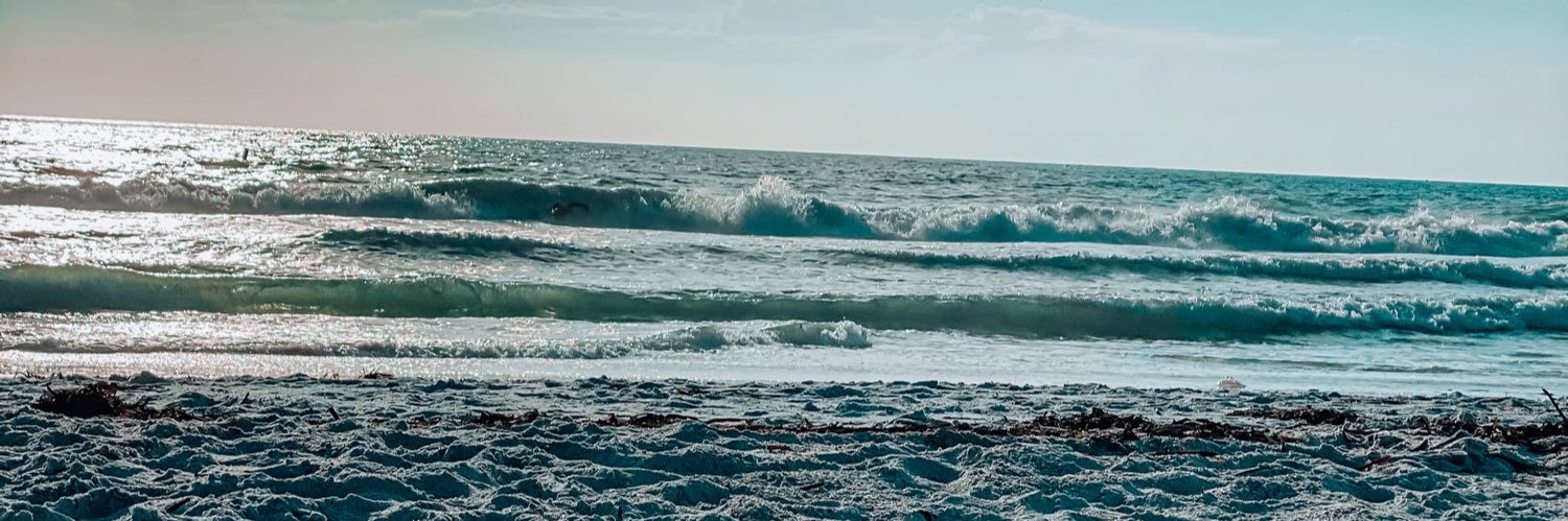 desireewiser13's profile banner image