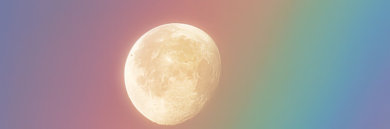 Cammi banner
