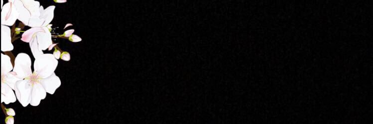 🌹 banner