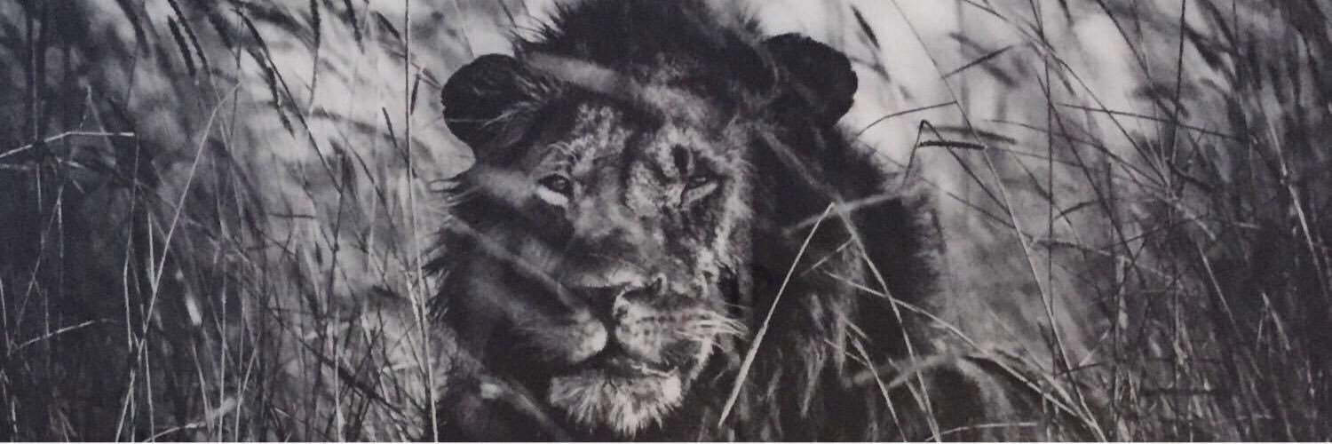 MattPhillips55_'s profile banner image