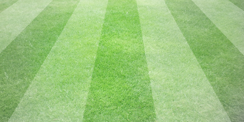 Allturf_Ltd's profile banner image
