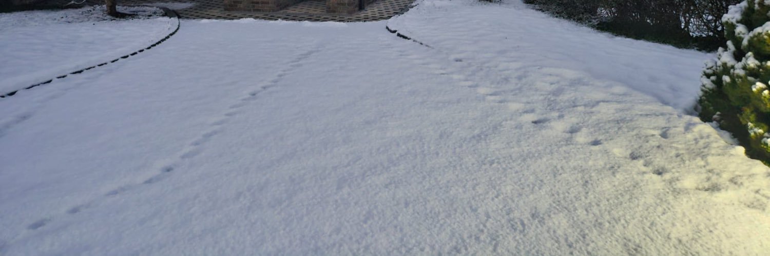 🎼 رياض 🎼 banner