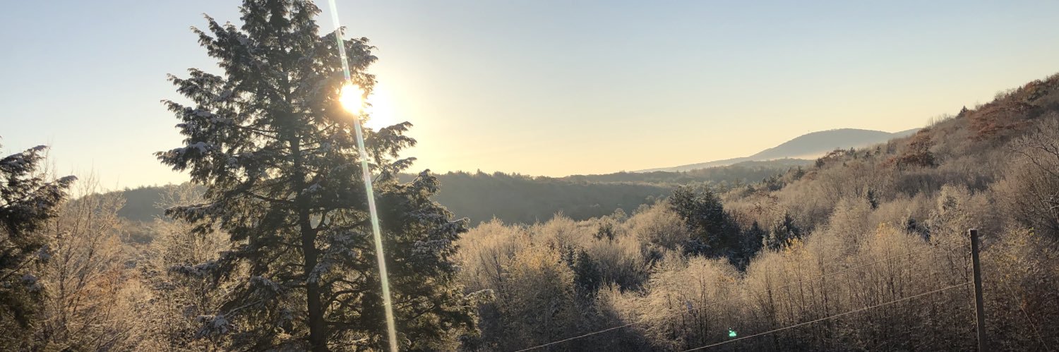 officialpants's profile banner image