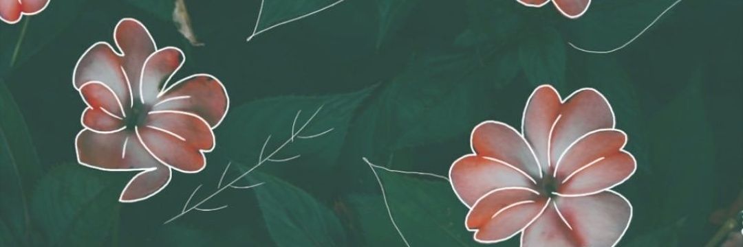 AranGodoy's profile banner image