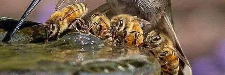 punishermental banner