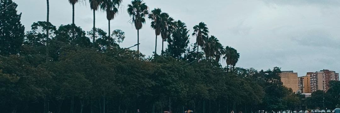 ladybrunak's profile banner image