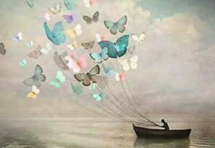 yaly_fs's profile banner image