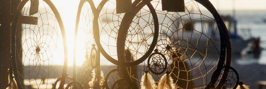 Drycafernandes's profile banner image