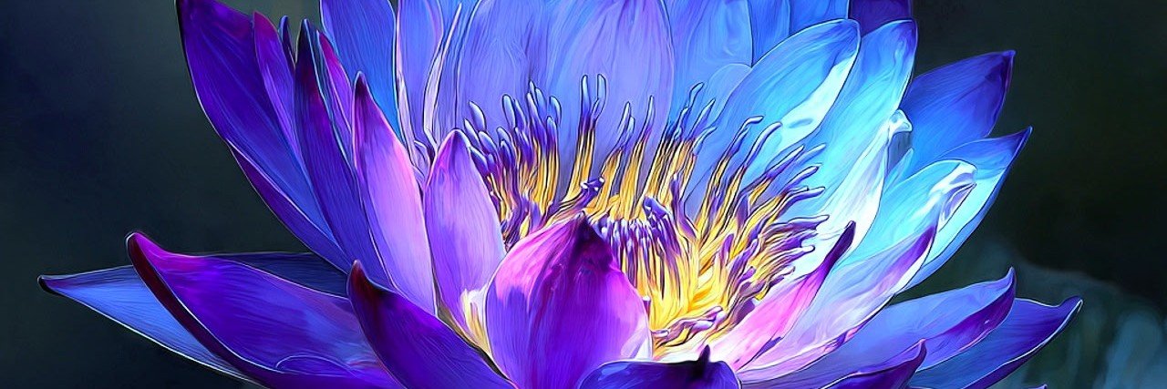 lorelaiisalive's profile banner image