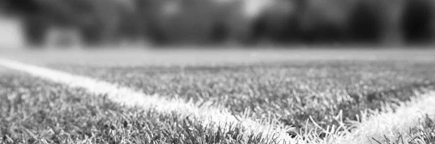 Claire Bloomfield banner