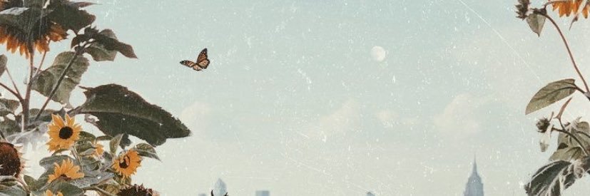 Mallory_Fae's profile banner image