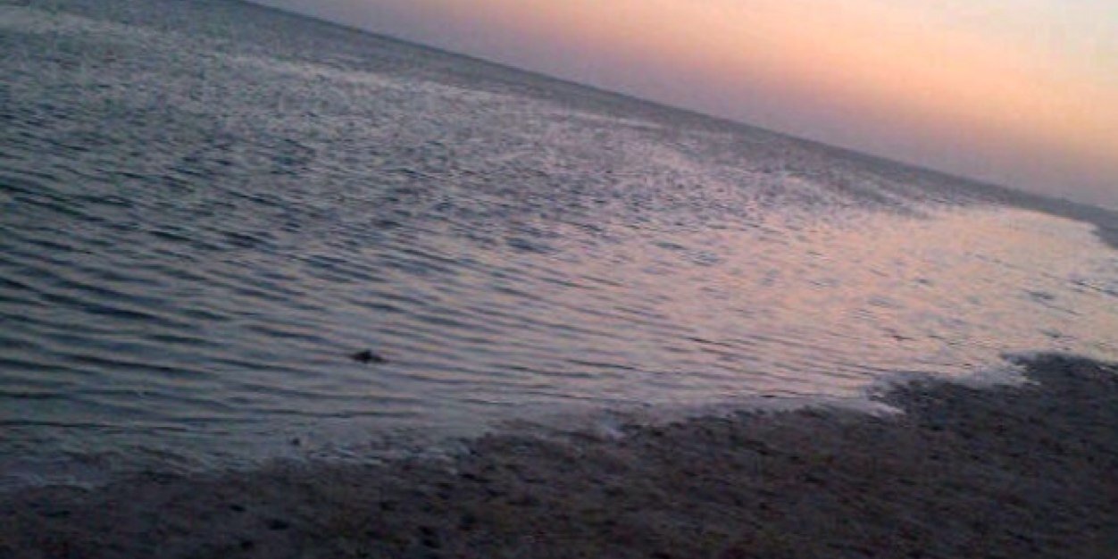binza3al's profile banner image