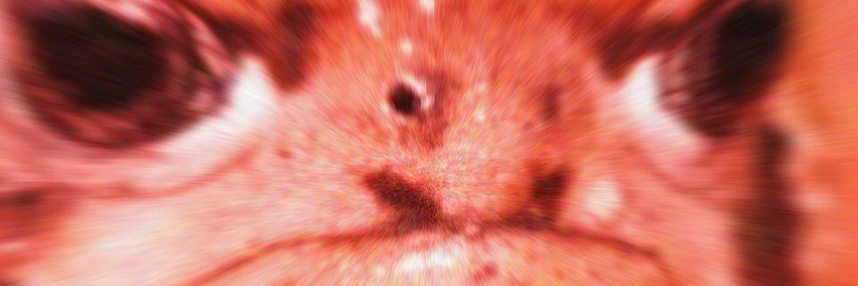 dyl_pickyl's profile banner image