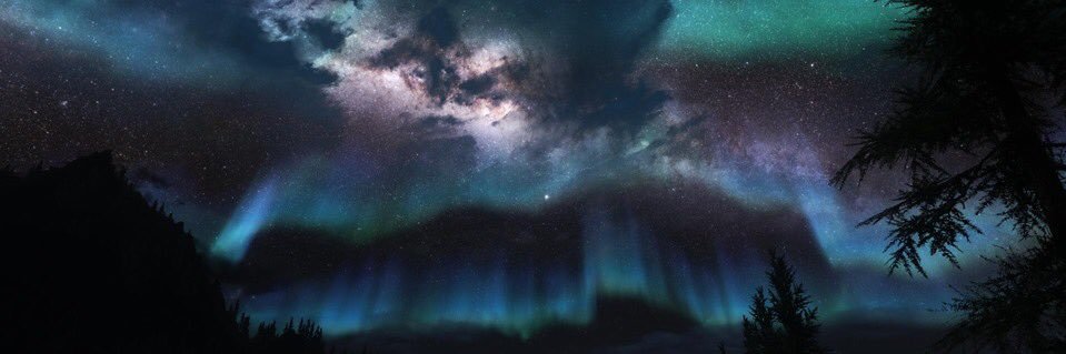 Michelle_Laney1's profile banner image