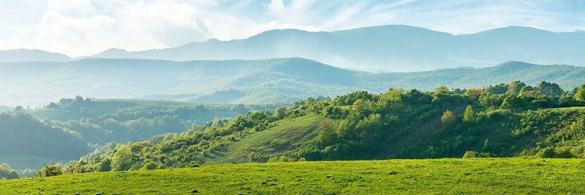 ahlici's profile banner image