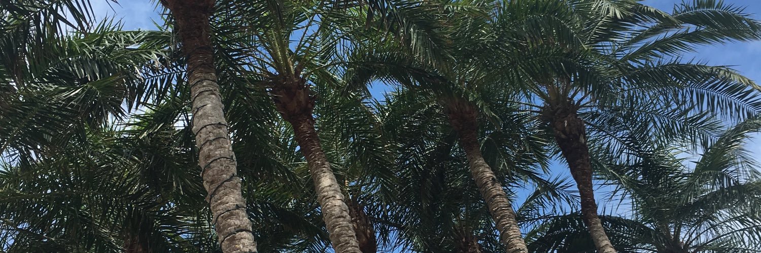 bri_schoepf's profile banner image