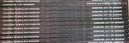 WalkingToursChester's banner
