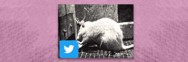 iHateCogsci Profile Banner
