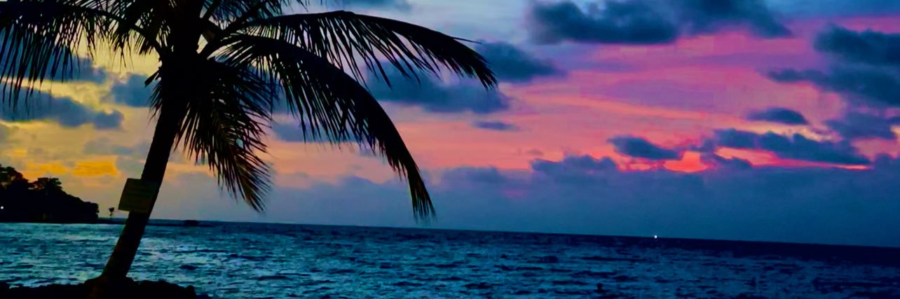 SilaEspitia's profile banner image