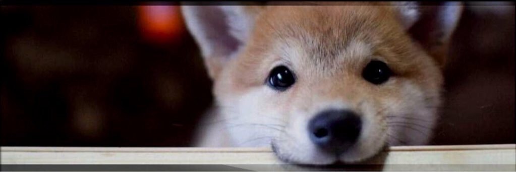 snakuhhead's profile banner image