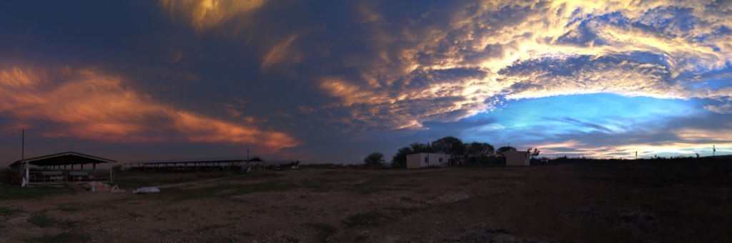 MichelleeOlvera's profile banner image