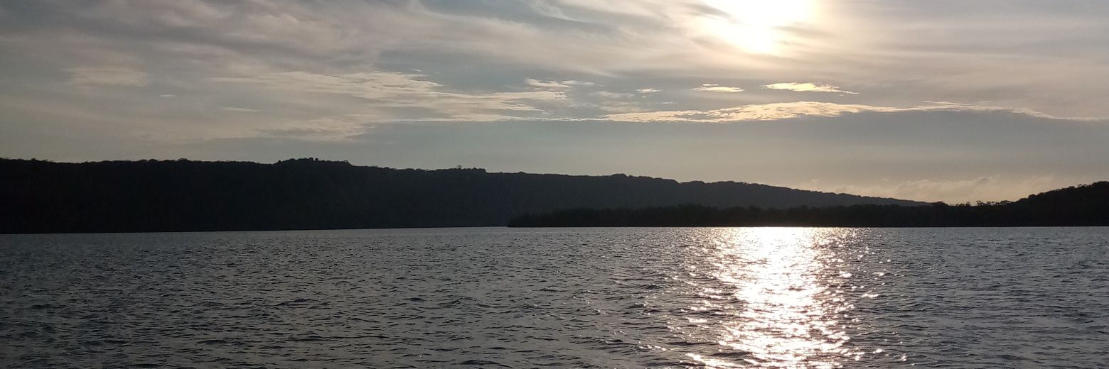 Amalia🌷🐰🇻🇪 banner