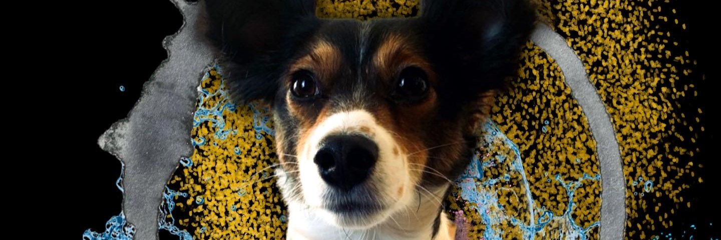 LucksMediaGroup's profile banner image