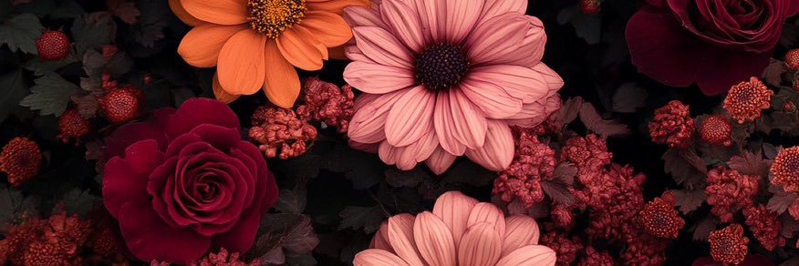 hayxlee6's profile banner image
