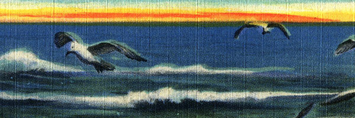 YoungerMeMusic's profile banner image