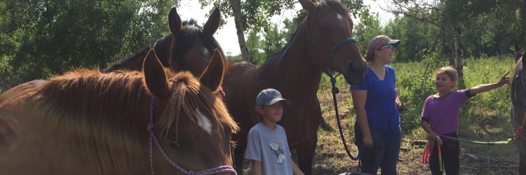 forestbankranch's profile banner image