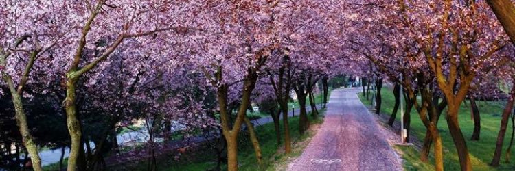 ShazBaig76's profile banner image