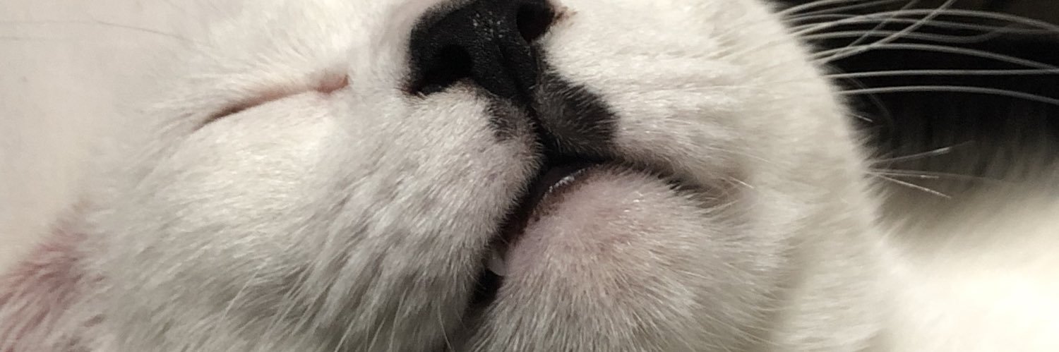 nickshlick's profile banner image