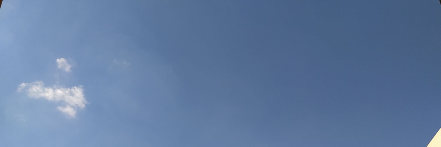 llmentzerll's profile banner image