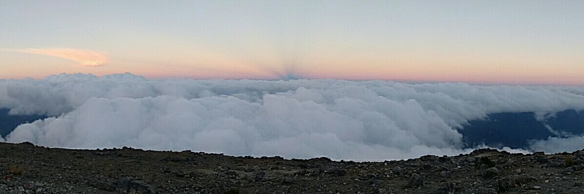 EduardoGonzalez banner