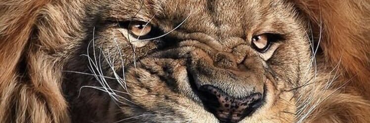 rotten129's profile banner image