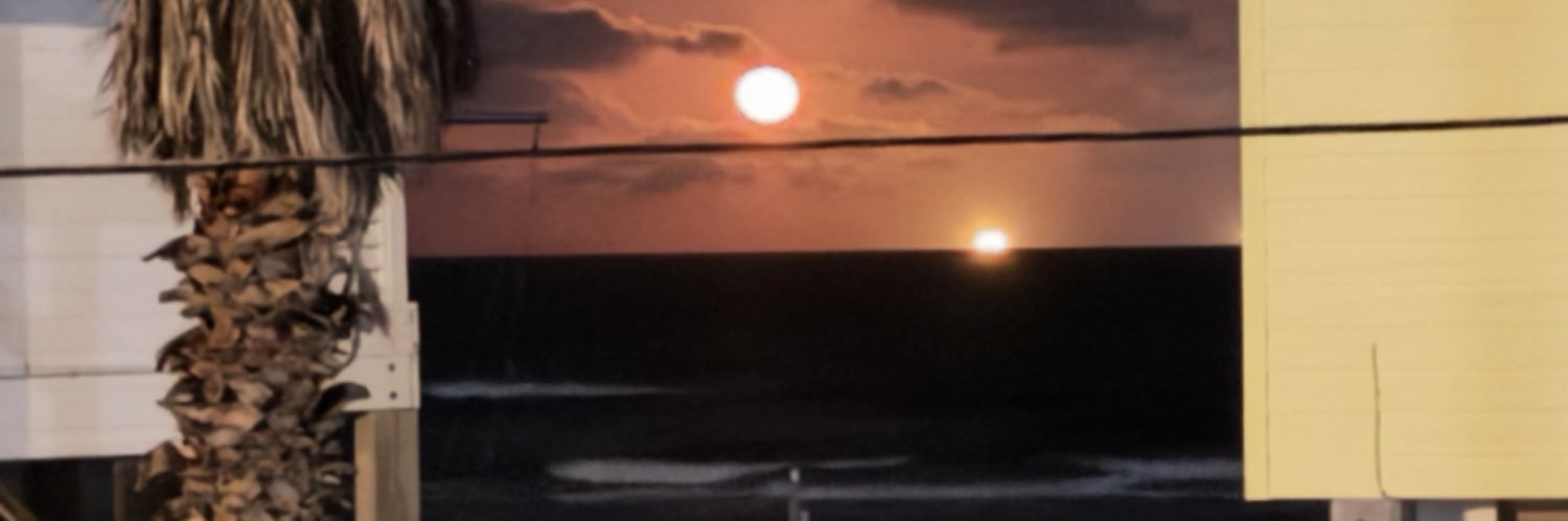 surf texas banner