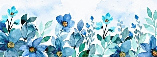 bjviptours's profile banner image