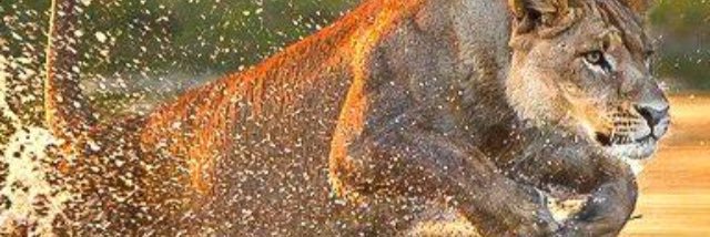 HopeMisner1's profile banner image