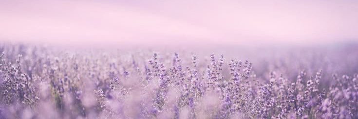 Eman banner